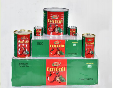 Concentré de Tomate BON GOÛT Carton Grossiste